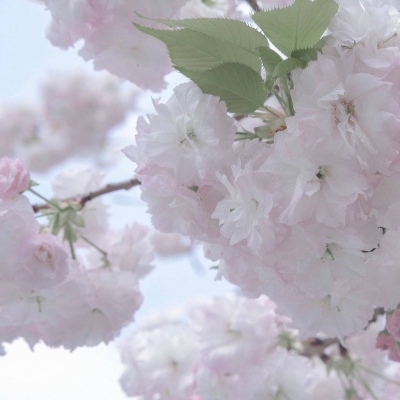 兽设冰川场景创作Furry群